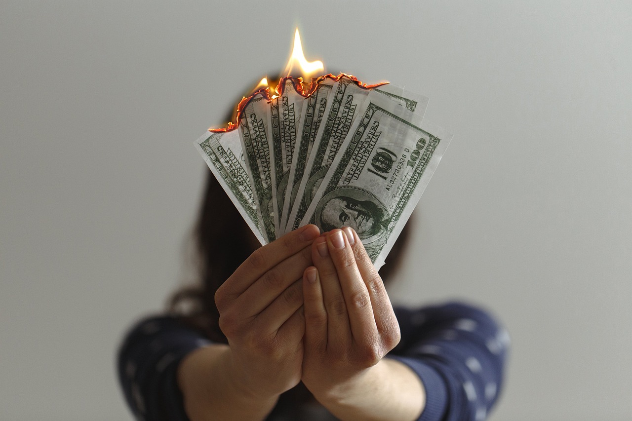 money, cash, burning-6087331.jpg
